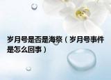 歲月號(hào)是否是海祭（歲月號(hào)事件是怎么回事）