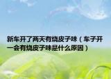 新車開了兩天有燒皮子味（車子開一會(huì)有燒皮子味是什么原因）