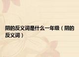 陰的反義詞是什么一年級（陰的反義詞）