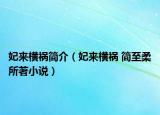 妃來橫禍簡(jiǎn)介（妃來橫禍 簡(jiǎn)至柔所著小說）