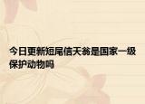 今日更新短尾信天翁是國(guó)家一級(jí)保護(hù)動(dòng)物嗎
