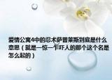 愛情公寓4中的忍術薩普萊斯到底是什么意思（就是一驚一乍嚇人的那個這個名是怎么起的）