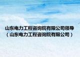 山東電力工程咨詢院有限公司領(lǐng)導(dǎo)（山東電力工程咨詢院有限公司）