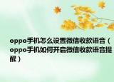 oppo手機怎么設(shè)置微信收款語音（oppo手機如何開啟微信收款語音提醒）