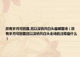 愿有歲月可回首,且以深情共白頭是哪首詩(shī)（愿有歲月可回首且以深情共白頭全詩(shī)的注釋是什么）