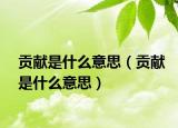 貢獻(xiàn)是什么意思（貢獻(xiàn)是什么意思）