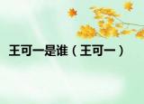 王可一是誰（王可一）