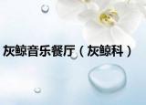 灰鯨音樂(lè)餐廳（灰鯨科）