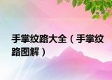 手掌紋路大全（手掌紋路圖解）