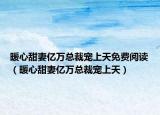 暖心甜妻億萬總裁寵上天免費(fèi)閱讀（暖心甜妻億萬總裁寵上天）