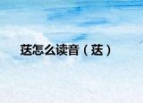 荙怎么讀音（荙）