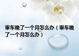 審車晚了一個月怎么辦（審車晚了一個月怎么辦）