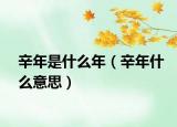 辛年是什么年（辛年什么意思）