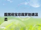 腹黑萌寶總裁爹地請溫柔