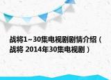 戰(zhàn)將1~30集電視劇劇情介紹（戰(zhàn)將 2014年30集電視?。? /></span></a>
                        <h2><a  title=