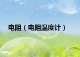 電阻（電阻溫度計）