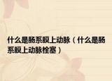 什么是腸系膜上動脈（什么是腸系膜上動脈栓塞）