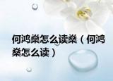 何鴻燊怎么讀燊（何鴻燊怎么讀）