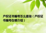 產(chǎn)權(quán)證書編號怎么查詢（產(chǎn)權(quán)證書編號在哪介紹）