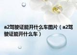 a2駕駛證能開什么車圖片（a2駕駛證能開什么車）