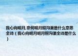 我心向明月,奈何明月照溝渠是什么意思全詩(shī)（我心向明月明月照溝渠全詩(shī)是什么）