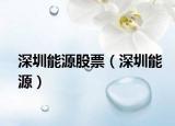 深圳能源股票（深圳能源）