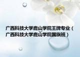 廣西科技大學(xué)鹿山學(xué)院王牌專業(yè)（廣西科技大學(xué)鹿山學(xué)院國(guó)旗班）