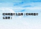 哎呦喂是什么品牌（哎呦喂是什么意思）