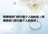 師傅領(lǐng)進(jìn)門修行靠個(gè)人指的是（師傅領(lǐng)進(jìn)門修行靠個(gè)人的意思）