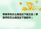 蘋果手機怎么用流量下載王者（蘋果手機怎么用流量下載軟件）