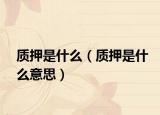 質(zhì)押是什么（質(zhì)押是什么意思）