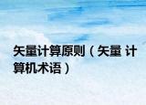 矢量計算原則（矢量 計算機術(shù)語）