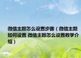 微信主題怎么設置步驟（微信主題如何設置 微信主題怎么設置教學介紹）