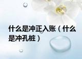 什么是沖正入賬（什么是沖孔樁）