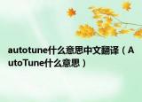 autotune什么意思中文翻譯（AutoTune什么意思）