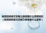 縱臂扭轉(zhuǎn)梁式非獨立懸架是什么意思知識（縱臂扭轉(zhuǎn)梁式非獨立懸架是什么意思）