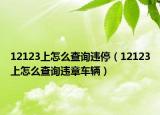 12123上怎么查詢違停（12123上怎么查詢違章車(chē)輛）