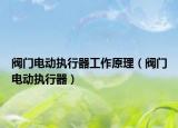 閥門電動執(zhí)行器工作原理（閥門電動執(zhí)行器）