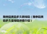 隨申碼黃碼多久轉(zhuǎn)綠碼（隨申碼黃碼多久變綠碼詳細(xì)介紹）