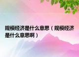 規(guī)模經(jīng)濟(jì)是什么意思（規(guī)模經(jīng)濟(jì)是什么意思?。? /></span></a>
                        <h2><a href=