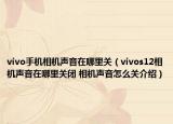 vivo手機相機聲音在哪里關（vivos12相機聲音在哪里關閉 相機聲音怎么關介紹）