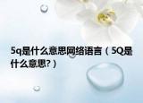 5q是什么意思網(wǎng)絡(luò)語言（5Q是什么意思?）