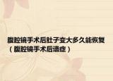 腹腔鏡手術(shù)后肚子變大多久能恢復（腹腔鏡手術(shù)后遺癥）