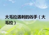 大毛拉遇刺的兇手（大毛拉）
