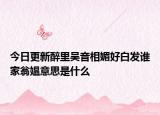 今日更新醉里吳音相媚好白發(fā)誰(shuí)家翁媼意思是什么