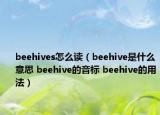 beehives怎么讀（beehive是什么意思 beehive的音標 beehive的用法）