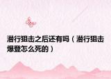 潛行狙擊之后還有嗎（潛行狙擊爆登怎么死的）
