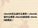 cherish怎么讀什么意思（cherish是什么意思 cherish的音標(biāo) cherish的用法）