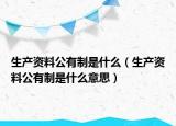 生產(chǎn)資料公有制是什么（生產(chǎn)資料公有制是什么意思）