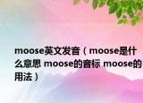 moose英文發(fā)音（moose是什么意思 moose的音標 moose的用法）